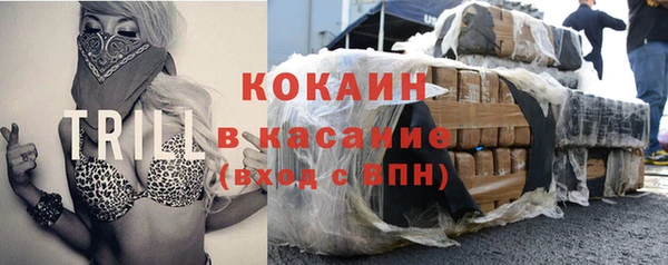 прущий лед Алзамай