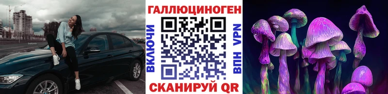 Псилоцибиновые грибы мицелий Аргун